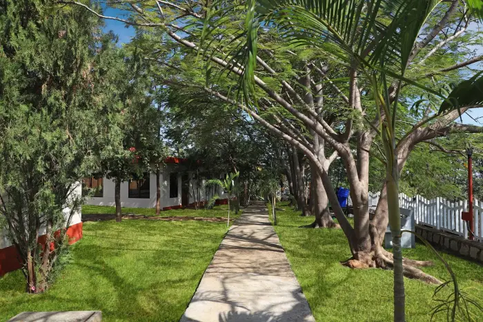 Shaded walkway through the lawns